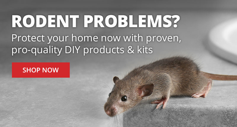 Rodent Problems? Protect your home now with proven pro-quality DIY products & Kits |SHOP NOW|