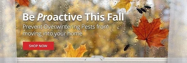 Overwintering Pests