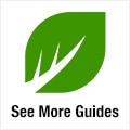 Lawn Care Guides