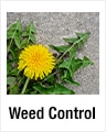 Weed Control