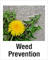 Weed Prevention