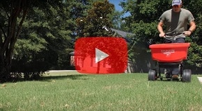 Fall Fertilization Tips