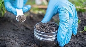 What is Soil pH and Why is it Important?